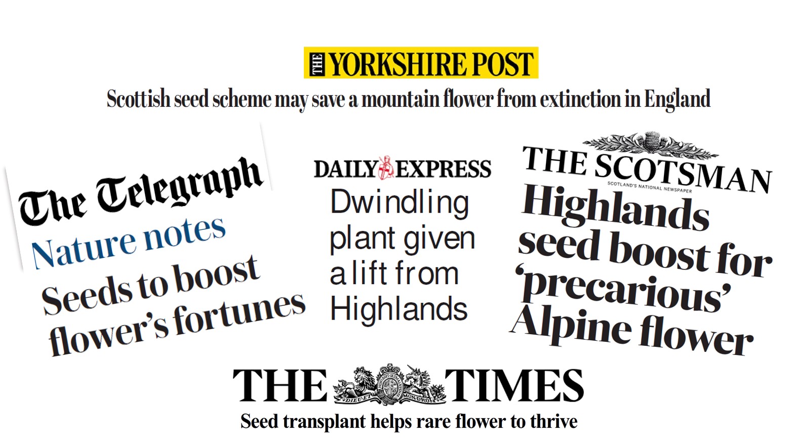 Press release generates blooming great interest in mountain flower