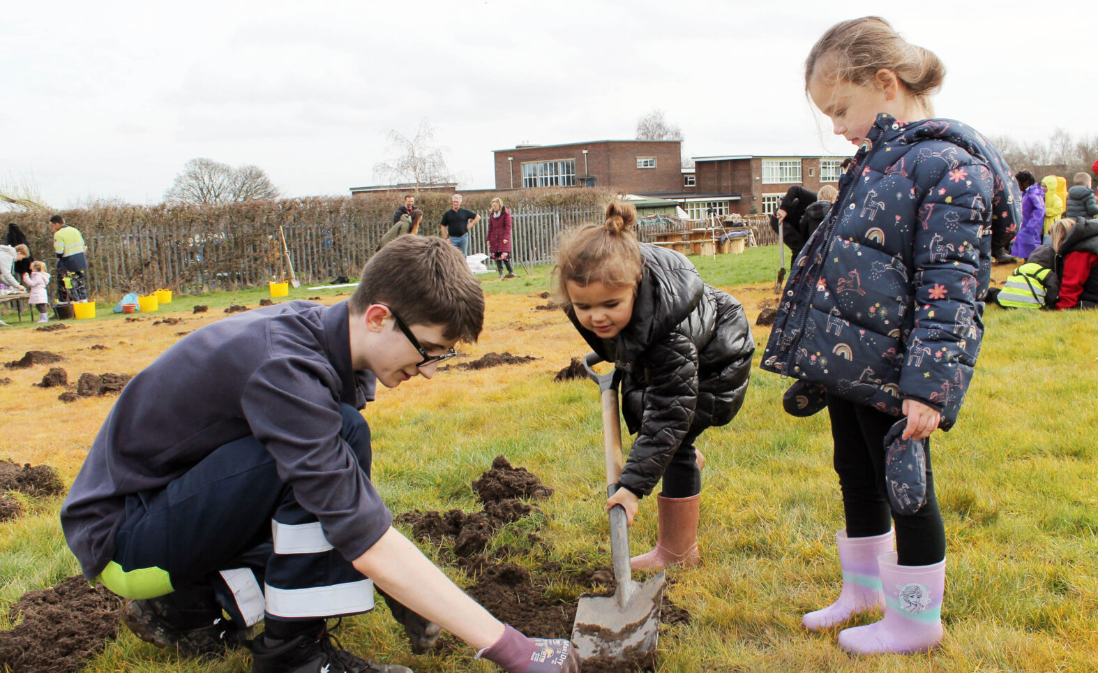 <strong>300 trees for a Primary school in Rotherham</strong> 