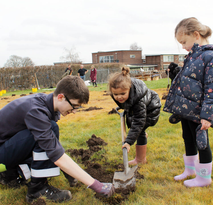 <strong>300 trees for a Primary school in Rotherham</strong> 