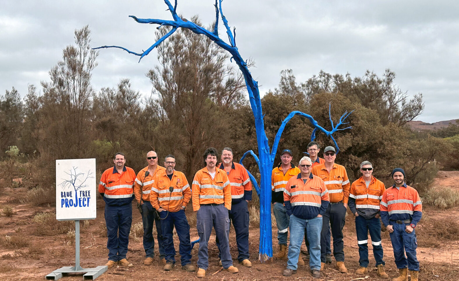 Blue Tree mental health forest growing in Whyalla
