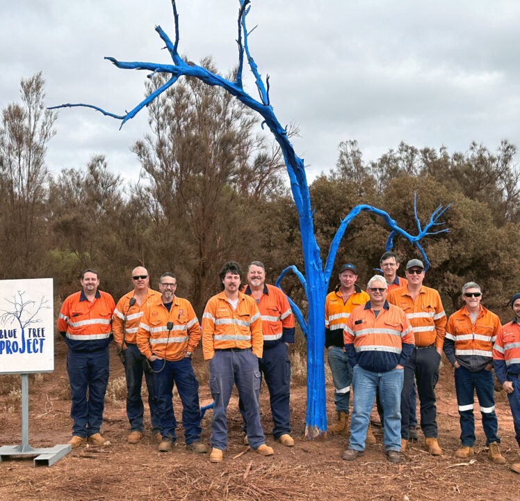 Blue Tree mental health forest growing in Whyalla