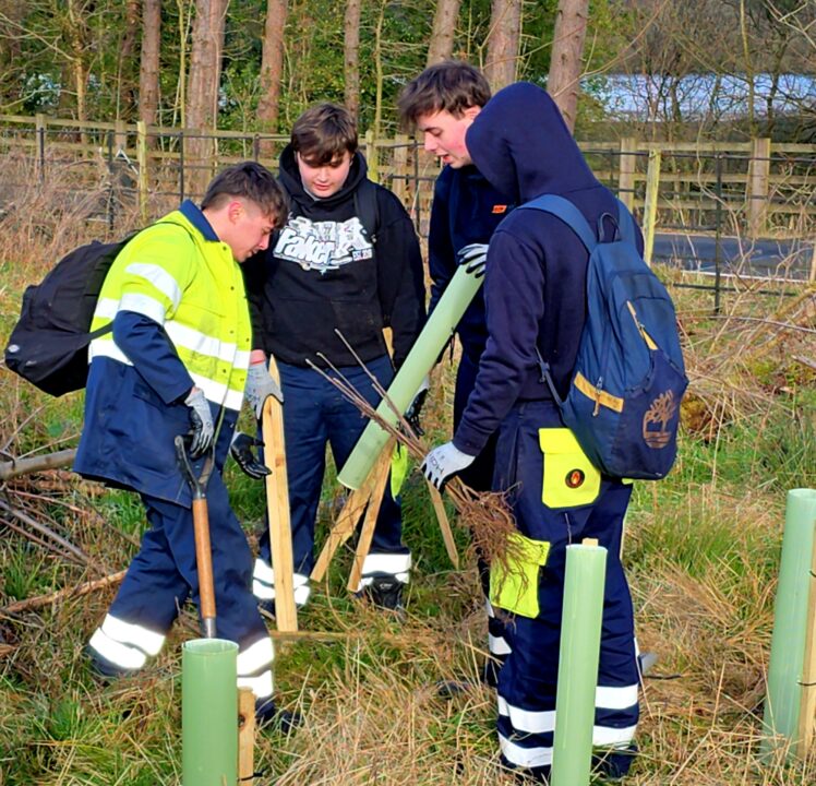 Liberty Steels Team Plants 500 Trees at Broomhead Reservoir